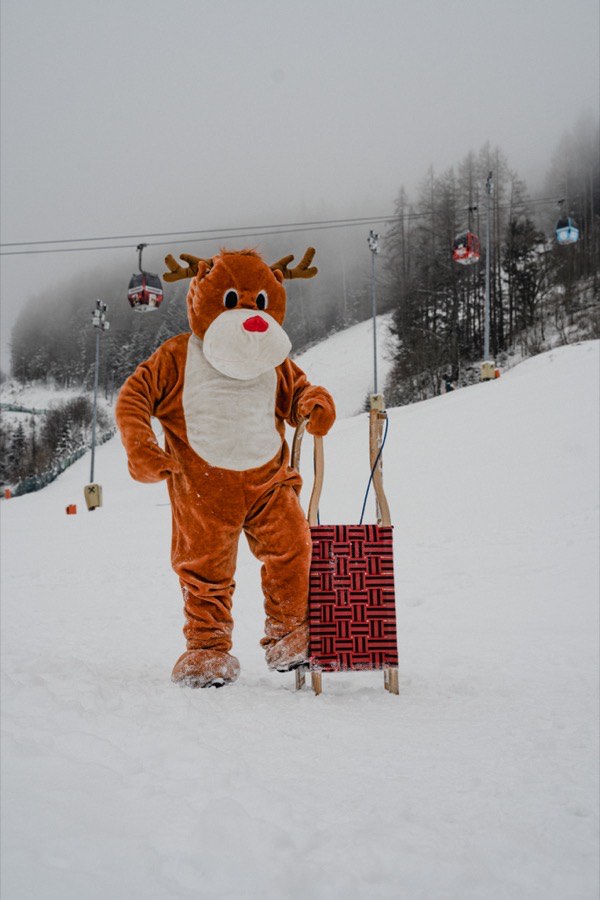Hirschi ist auch am Berg unterwegs