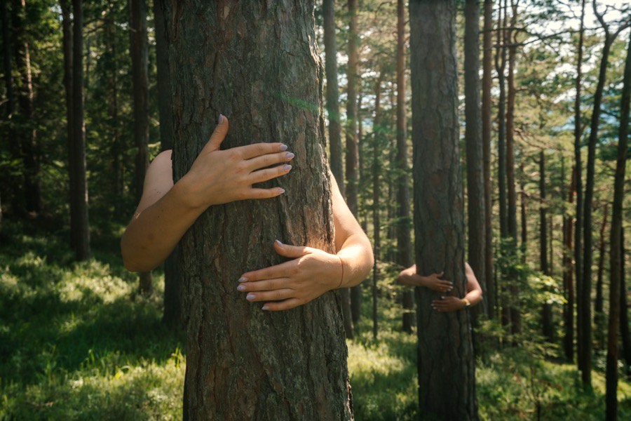 Yoga am Berg